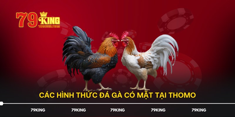 Các hình thức đá gà có mặt tại Thomo