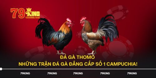 Đá Gà Thomo - Những Trận Đá Gà Đẳng Cấp Số 1 Campuchia!