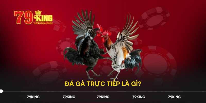 Đá Gà Trực Tiếp