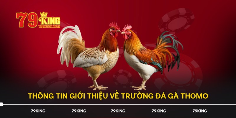 Thông tin giới thiệu về trường đá gà Thomo